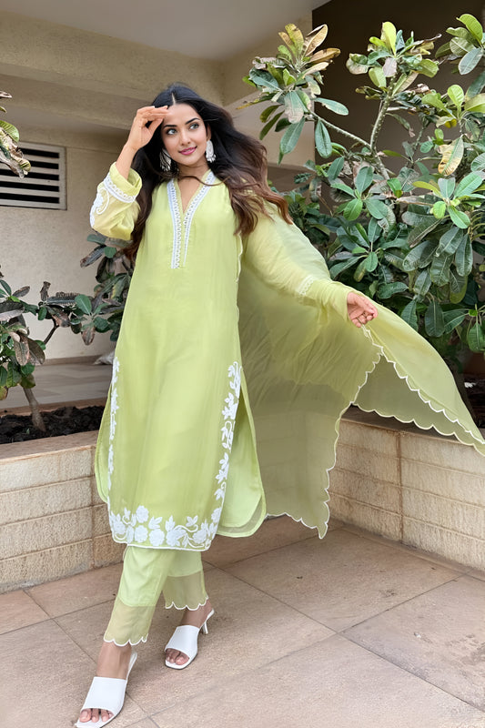 Chikankari Pakistani Suit Set with Dupatta (Embroidered/Muted Green)