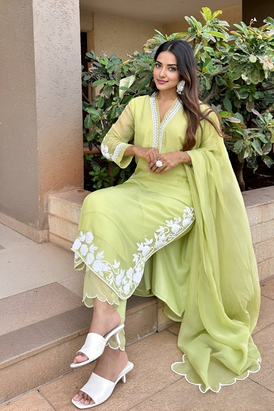 Chikankari Pakistani Suit Set with Dupatta (Embroidered/Muted Green)